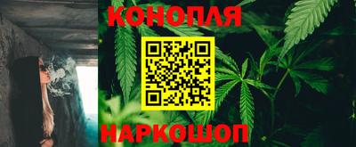прущие крисы Кунгур