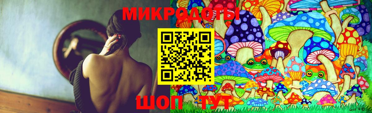 Псилоцибиновые грибы мицелий Вязники
